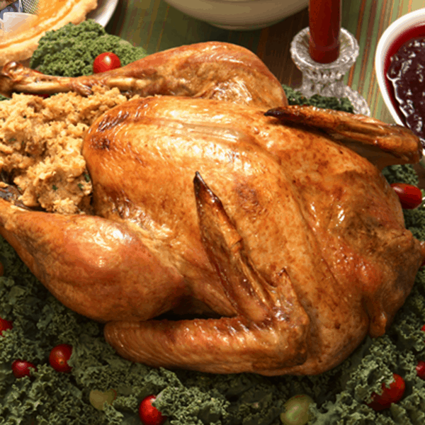 Before-<h3>1. Salmonella & Bacteria in the Turkey:</h3> Most persons infected with Salmonella develop diarrhea, fever, and abdominal cramps 12 to 72 hours after infection. The illness usually lasts 4 to 7 days, and most persons recover without treatment. However, in some persons, the diarrhea may be so severe that the patient needs to be hospitalized. <br> <b>Avoid Breeding Bacteria Before You Cook the Turkey: </b><br>  According to a survey conducted by the American Dietetic Association, nearly one in three Americans (31 percent) typically thaws frozen meat on the kitchen counter, under hot water in the kitchen sink, or in the oven— all big food safety no-nos.<br> <b>DON’T UNDERCOOK THE BIRD:</b>  It is important to cook your turkey to an internal temperature of 180 degrees Fahrenheit (F) to kill all of the salmonella bacteria. The only way to really know if a turkey is at the right temperature is to use a meat thermometer (insert the meat thermometer into the thickest part of the muscle away from the bone).
