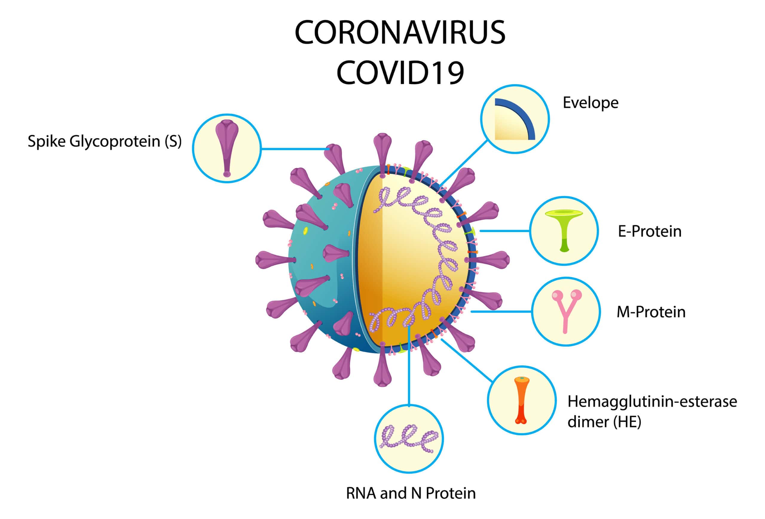 Coronavirus (Covid-19) – NextCare Urgent Care