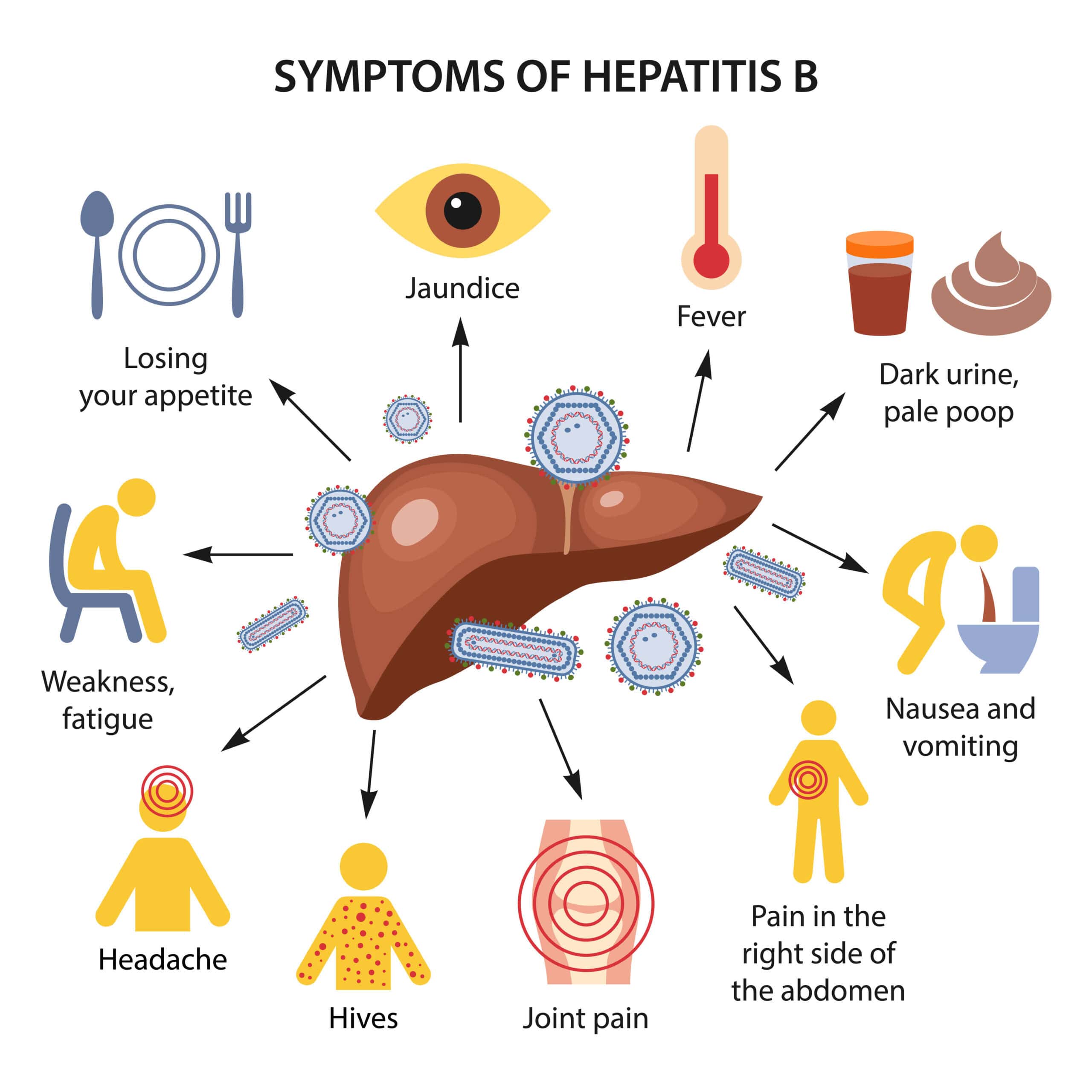 illustrations symptoms of hepatitis-b